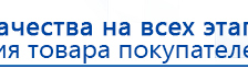 ДЭНАС-ПКМ (13 программ) купить в Березники, Аппараты Дэнас купить в Березники, Дэнас официальный сайт denasolm.ru