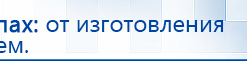 Электроды Скэнар -  двойной овал 55х90 мм купить в Березники, Электроды Скэнар купить в Березники, Дэнас официальный сайт denasolm.ru